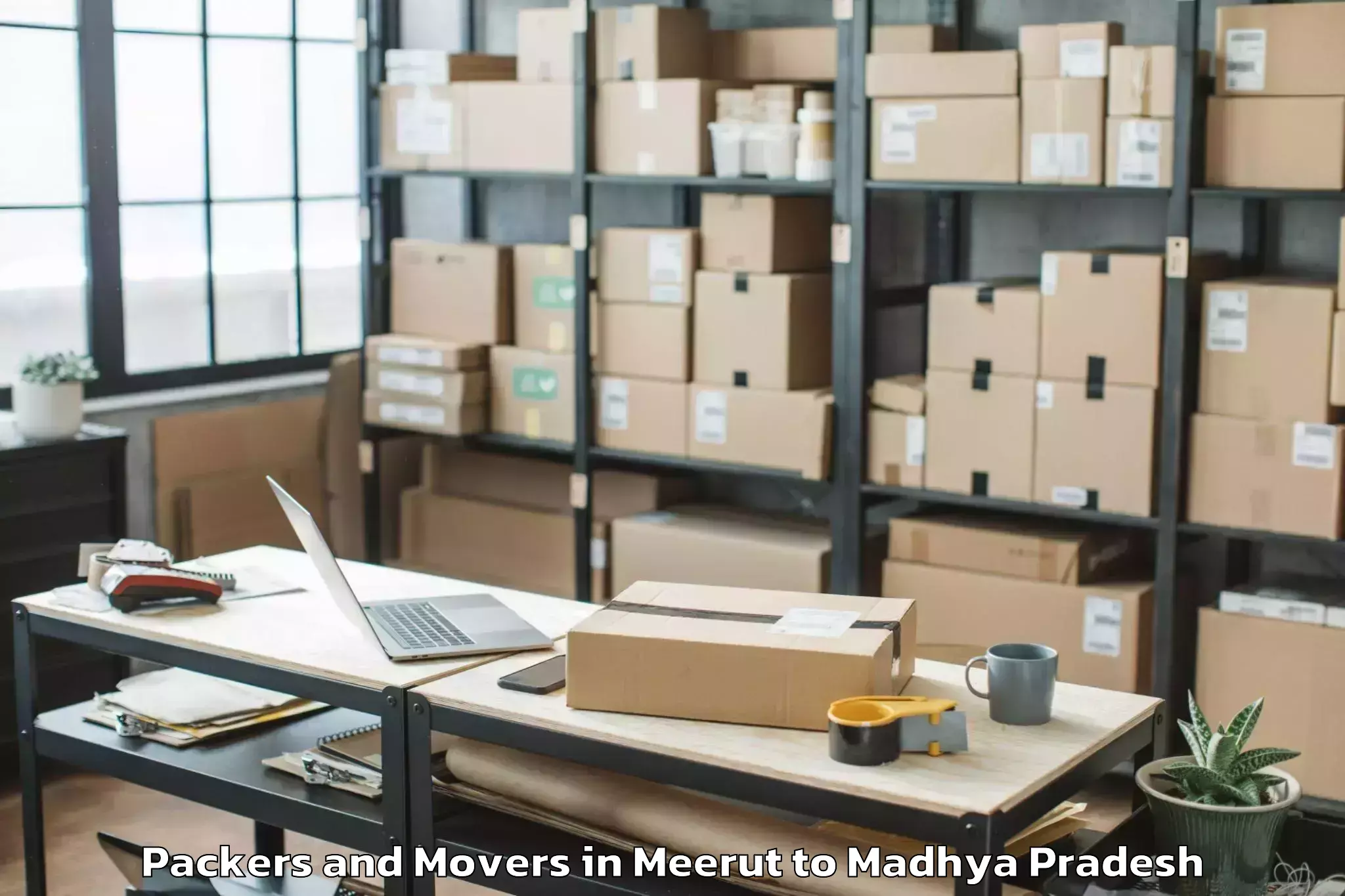 Hassle-Free Meerut to Rahatgaon Packers And Movers